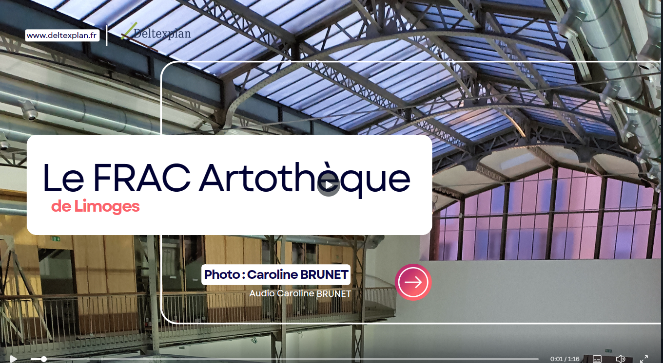 Caroline BRUNET_Le Frac Artothèque de Limoges