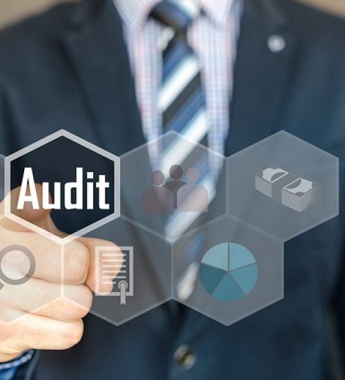audit-9001 audit-9001